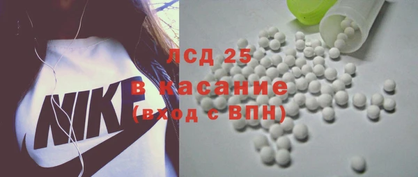 PSILOCYBIN Няндома