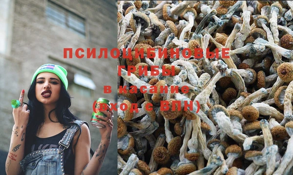 спайс Новодвинск