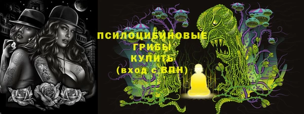 спайс Новодвинск