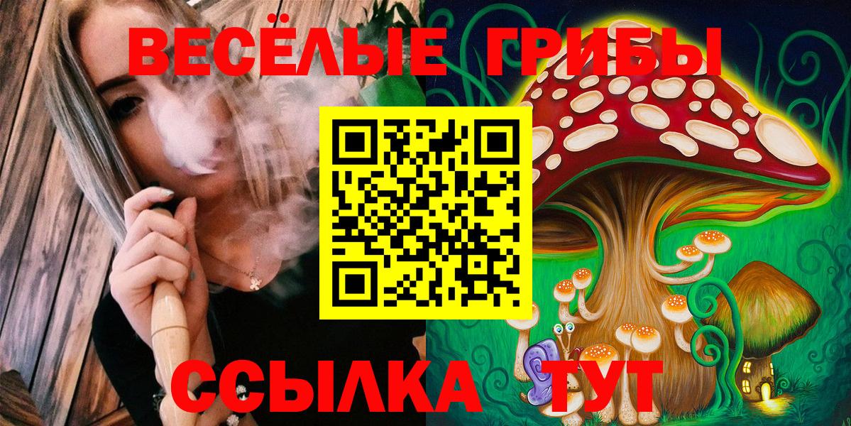 Семилуки  Псилоцибиновые грибы Psilocybe  Вход с VPN 
